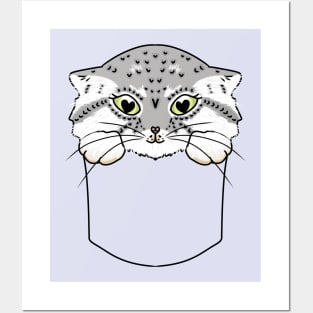 Manul Cat in the Pocket Posters and Art